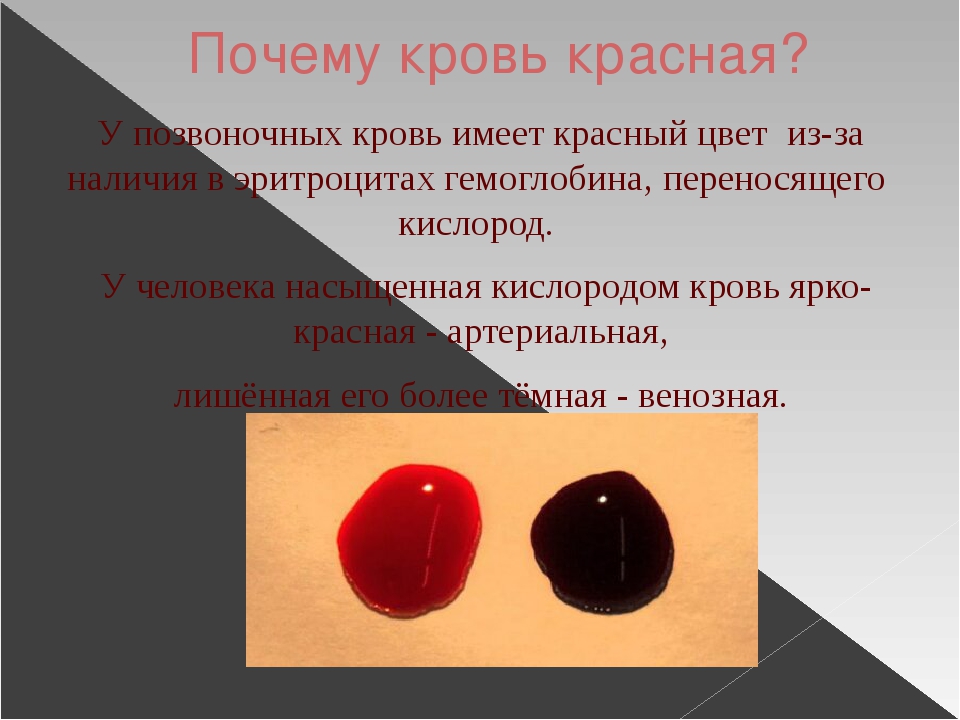Кровь после полового акта у мужчин. Цвет крови. Цвет человеческой крови. Кровь темно красного цвета.