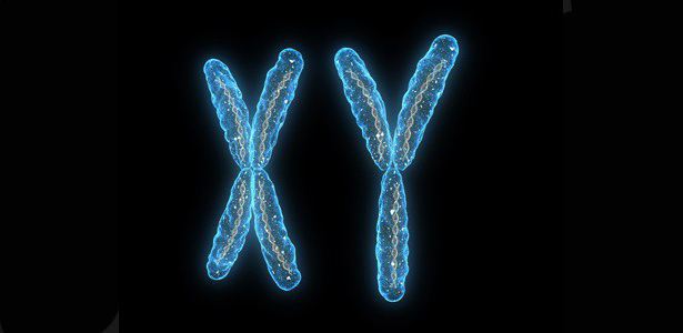 виды хромосом
