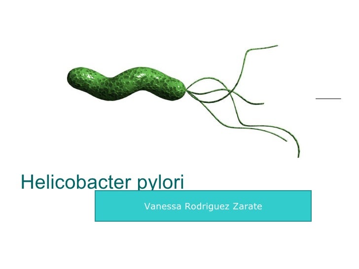 Antibioticos contra helicobacter pylori