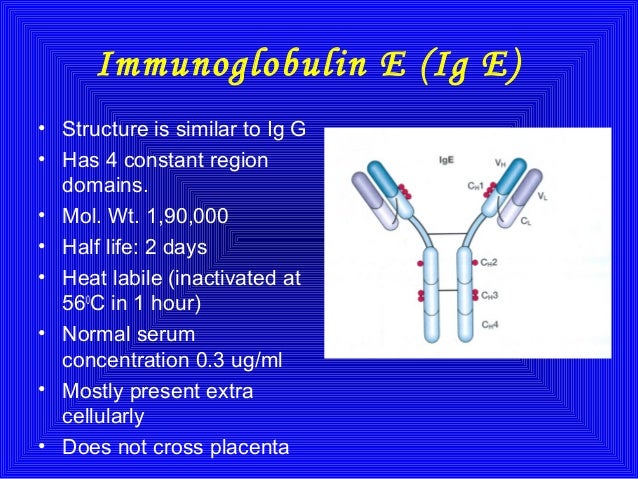 Иммуноглобулин ige что показывает. Иммуноглобулин IGE 228.6. Иммуноглобулин IGE 7.2. Структура иммуноглобулина d. Иммуноглобулин e структура.