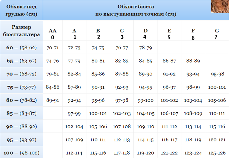 2й размер груди фото