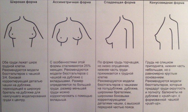 формы груди