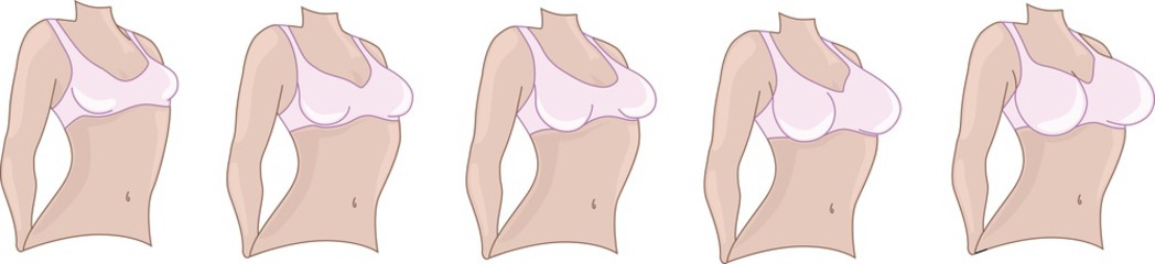 разные размеры груди