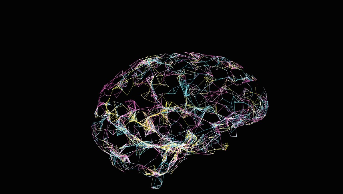 Brain 126. Карта нейронных связей мозга. Нейронные связи в мозге. Синоптические связи мозга. Упражнения для развития нейронных связей мозга.