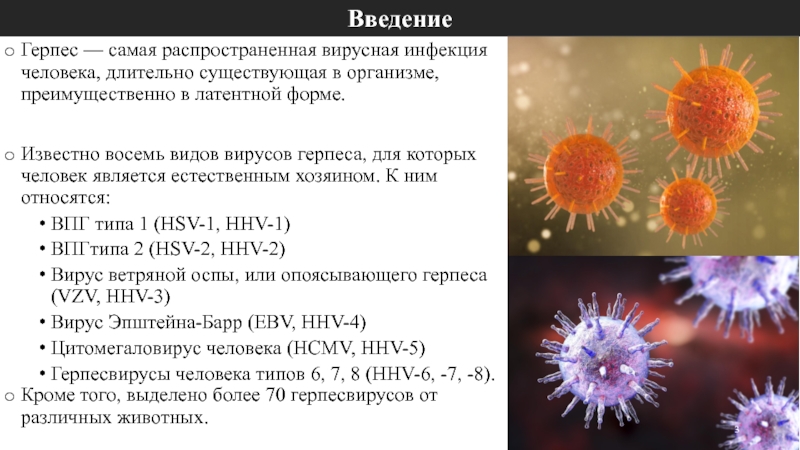 Вирус герпеса 2. Наиболее распространенные вирусные заболевания. Вирусы герпеса типы. Самая распространенная вирусная инфекция.